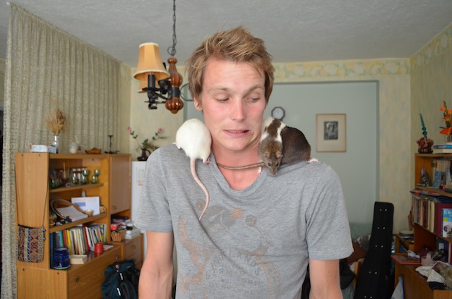 In Estonia, the girl I stayed with was training these three rats to do tricks