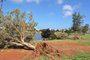 Cyclone Olwyn Carnarvon