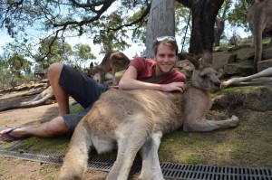 Hug a kangaroo wallaby