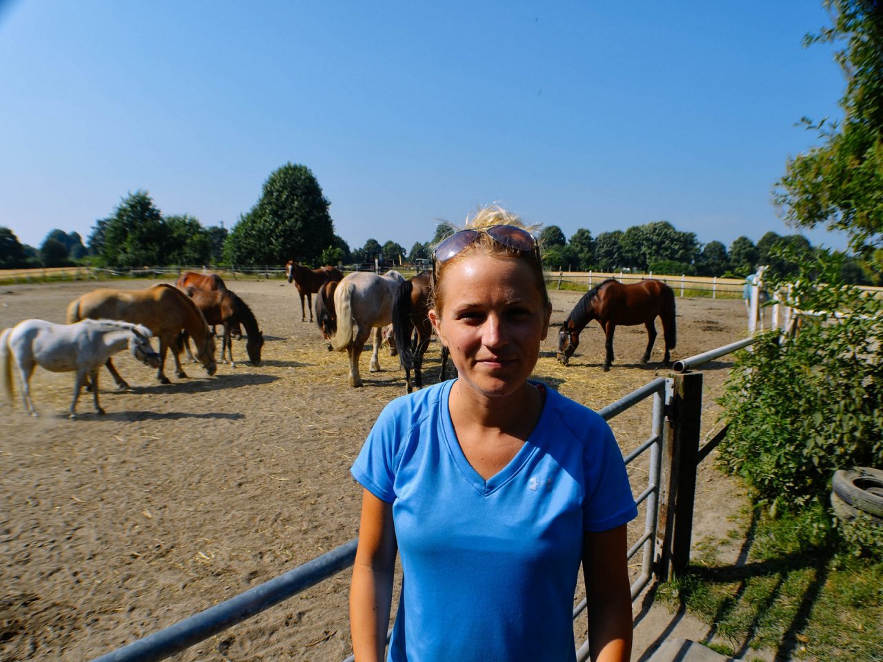 On A Pony Farm, Germany - Free Camping
